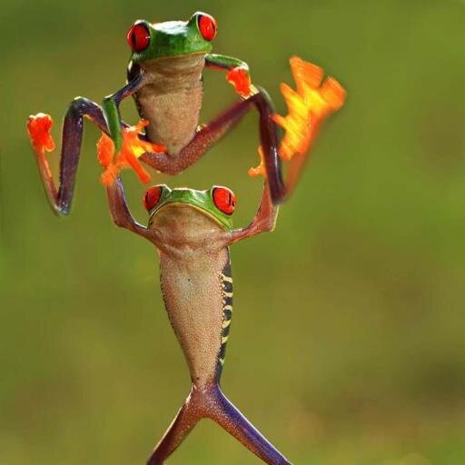 “Mastering Others Is Strength. Mastering Yourself Is True Power” Lao Tzu