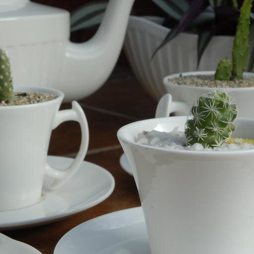 Empresa dedicada a la confección de piezas decorativas ornamentales, diseñamos con la belleza natural de las plantas de interior y exterior.