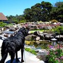 Dan Auch - @sweetwaterland - Twitter