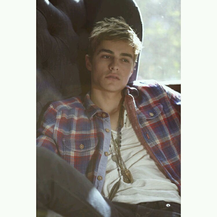 DFrancoPP's profile picture. reindeers are better than people