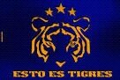 SOY TIGRE DE CORAZÓN Y TOPTINAUTA
