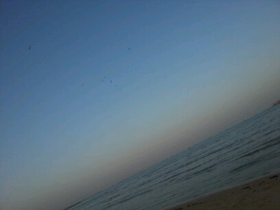 salalah789's profile picture. 