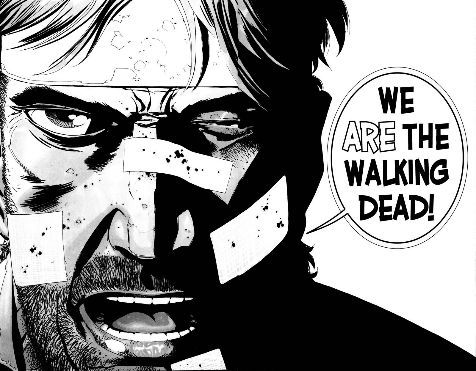 TWD é vida, série, HQ, livro de todas as formas