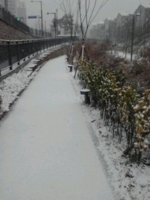 juliahan0321's profile picture. 