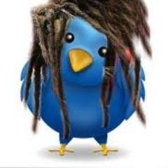 twitter da pagina Offline's curte lá!