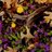 doremi33584291's profile image