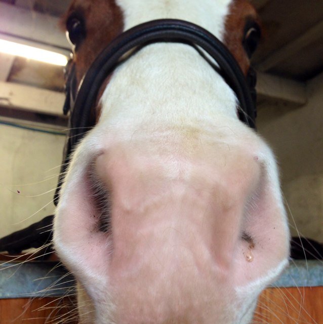 TansTack's profile picture. 