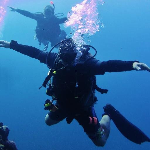 Ocean🌊 = Freedom 🏴‍☠️

No llores porque ya se terminó, sonríe porque sucedió.

| #Scuba diving ⚓️ | #Hertha BSC 💙 | #Punk Rock ☠️ |