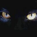 tom.rico - @Gatosemdona - Twitter