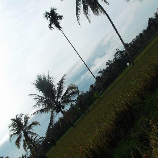 Pandawa5 amazing