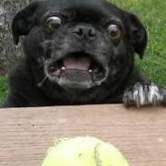 kai_maxi's profile picture. If you want to find me dont.