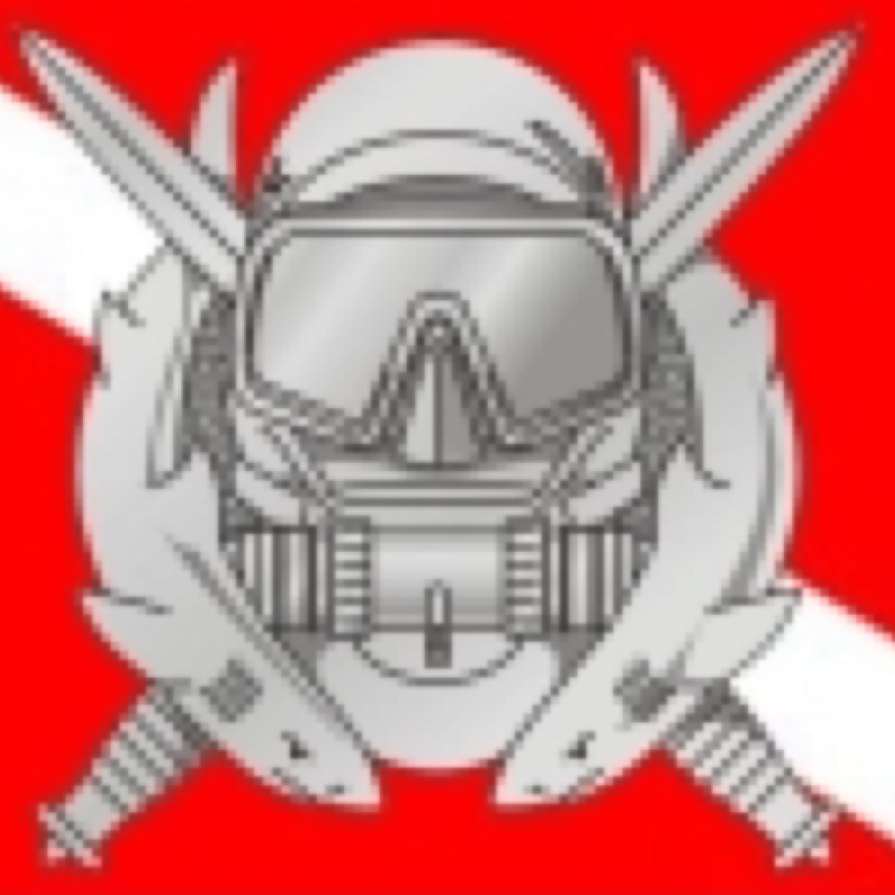 BLPSDiveUnit's profile picture. Blue Line Protective - Dive Unit Search & Recovery Recovering your lost items #cameras #downriggers #keys #wallets #jewelry & anything else of value to you.