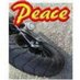 平和への道＠彡トシピコ彡