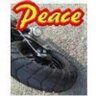 toshipiko1's profile picture. 地上の戦争を終わらせ、世界平和を実現する。これからは、命を慈しむ人づくり国づくりをしていこう。軍事力には限界がある、テロを防げない。暴力を鎮めるのは非暴力・愛である。人間の自己愛から、道徳心・自制心、人類愛を共有していく！９条外交で、軍縮・心的武装解除をしていく！数秘 9-33-3 #命の尊厳 #兄弟姉妹 #死刑廃止