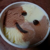 えん (@en316) 's Twitter Profile