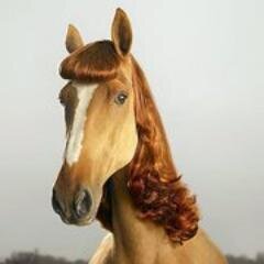 emma_gramatica's profile picture. Otoña