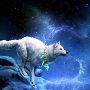 I am just a dreamer  that dances in the moonlight