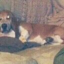 Ryan Galbraith - @galbraith6127 - Twitter