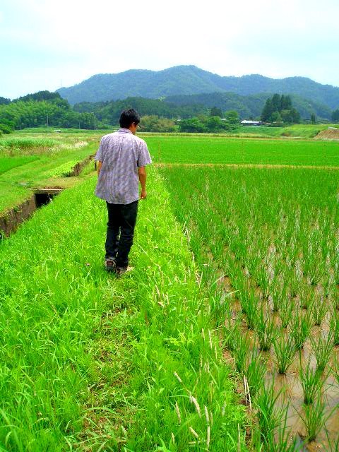 95年頃から半農半Ｘ（＝天職）を提唱。著書『綾部発 半農半Ｘな人生の歩き方88』『半農半Ｘという生き方【決定版】』など●半農半Ｘに特化した出版社「半農半Ｘパブリッシング」●綾部ローカルビジネスデザイン研究所●半農半社会起業家が増えたらと思う●「１人１研究所」も提唱。あなたならどんな研究所をつくるだろう。