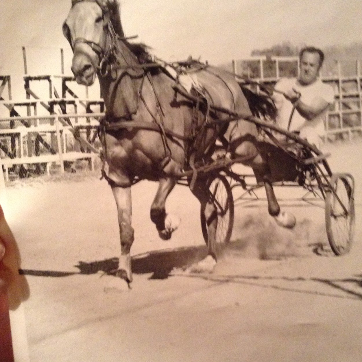 LanceLwynack's profile picture. 