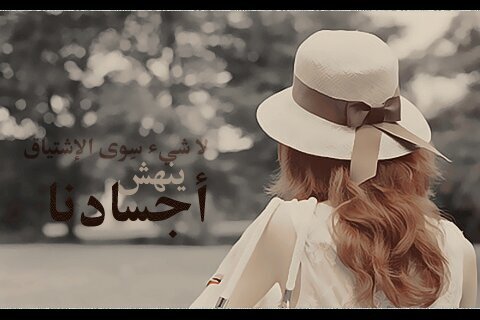 ما ادور على فلوز و لا ريتويت ما ابي شي