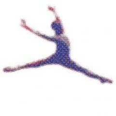 Director, LEAP, the Bachelor of Arts degree program for current and former professional dancers in New York, San Francisco, Los Angeles and Las Vegas.