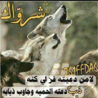 الحميدي القحطاني  (@ab96601203) 's Twitter Profile