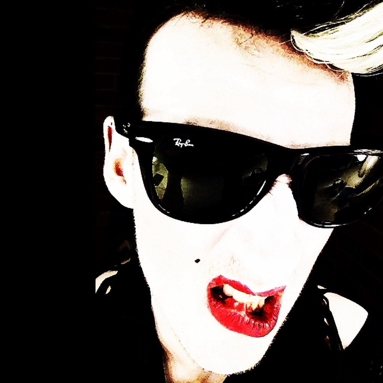 An alter ego by Australian cabaret performer @brendanjameshay