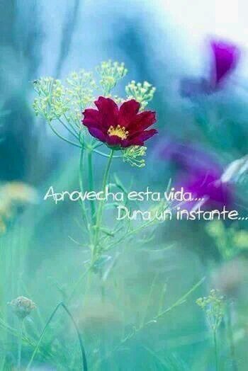 LoliMula78's profile picture. 