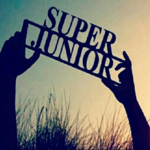 my 15 lovely boys super♥junior  E.L.F and pround ♥♥♥my first & last love 《H》   쥬퍼주니어