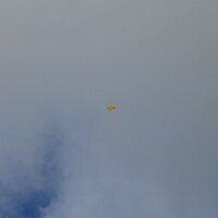 CysFibMD (@cysfibmd) 's Twitter Profile
