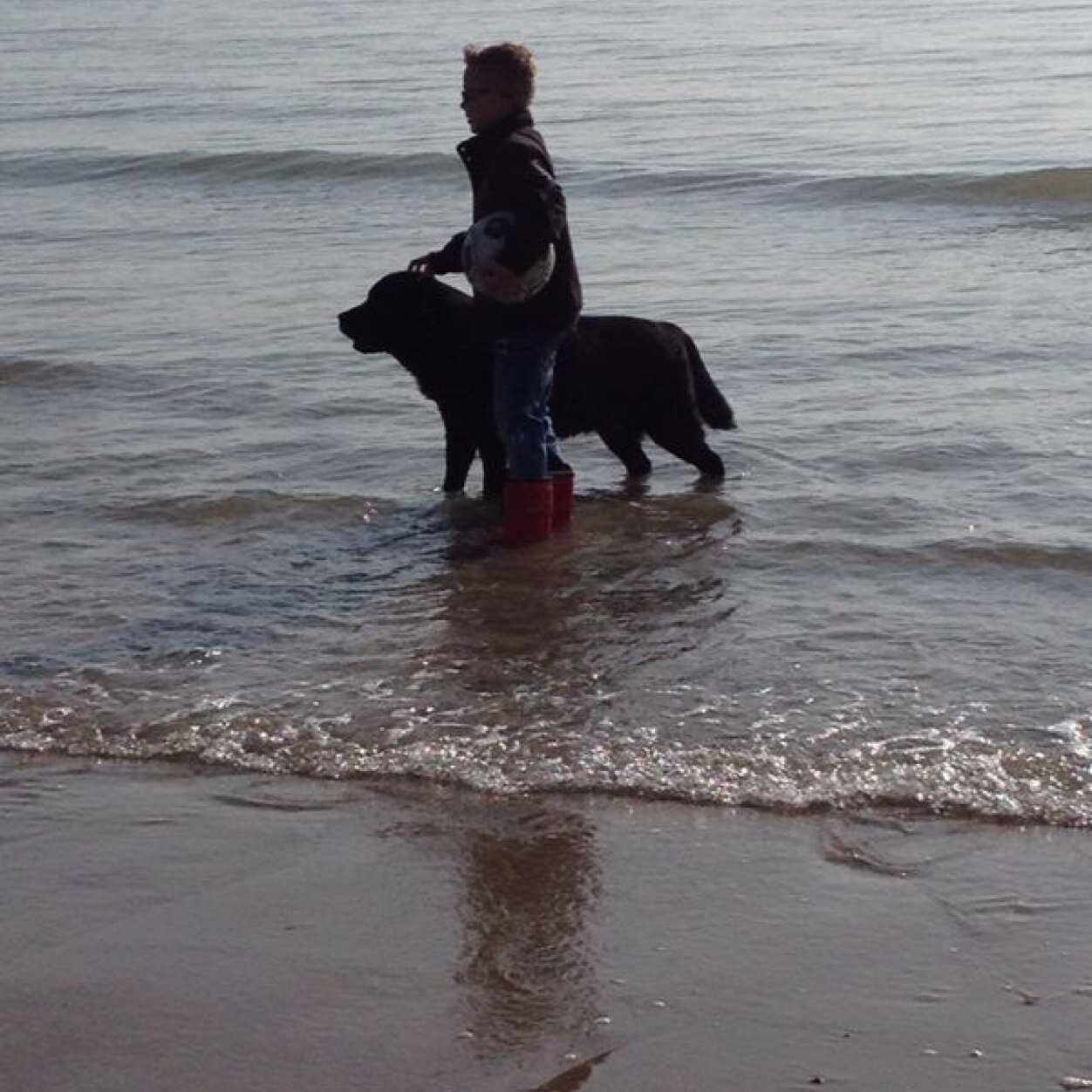 Kooskalf's profile picture. kozijnen, rolluiken, screens, Sectionaal deuren , bedrijfsdeuren. etc