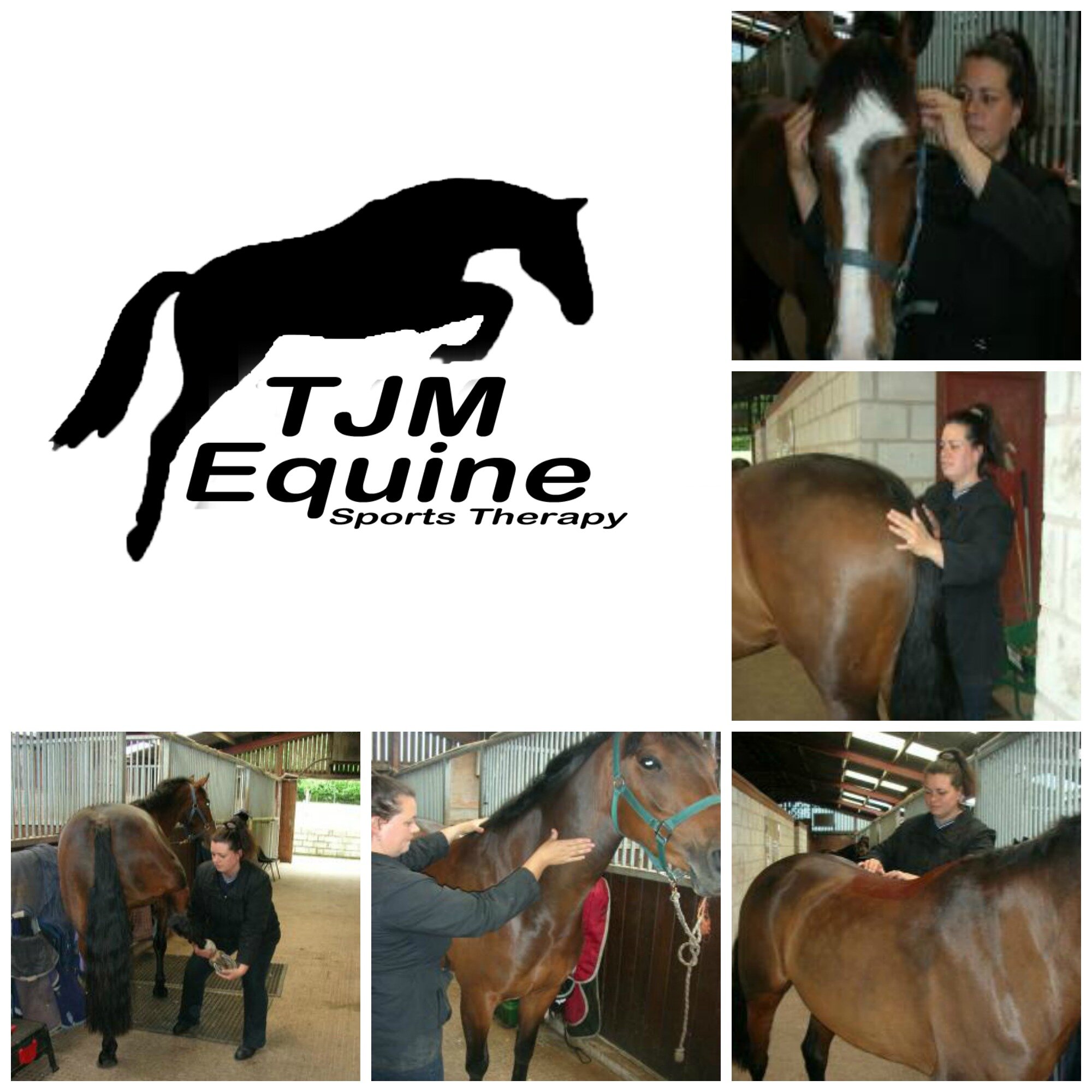 Trudie Grimmitt (Dip, ESMT, EMT, CST) is a professional Equine Sports Therapist, treating different competition horses across the country.