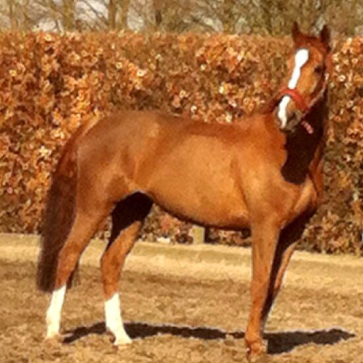 DjonyM's profile picture. 