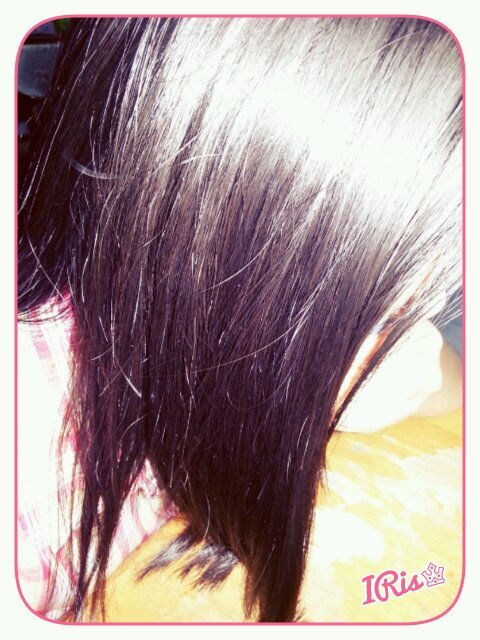 Hi, Iris's profile♂PauLi♂2nd Account ♕ Im a #98's #leo #swifties #dreamer #lovatics #blackjack