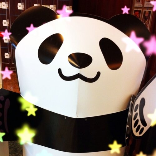 choco_932's profile picture. ãããã:ã¢ãã¡/ãŸãã/è¯ã声/ã²ãŒã /鳿¥œ/ãã³ã/ã¢ã€ãã«/åã©ãæ/ éé£ãªãããã§ãããããåãã ã¹ã¡ðŠããããããæè¿ã¯ããŸããããæŽ»åãã§ããŠããŸãããããããããé¡ãããŸã*\(^o^)/*