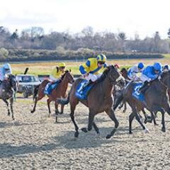 Horse Racing, Football, Motorsport.   Husband, Dad of 2.