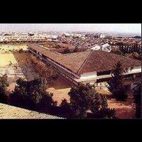 colegio aljarafe (@colegioaljarafe) 's Twitter Profile