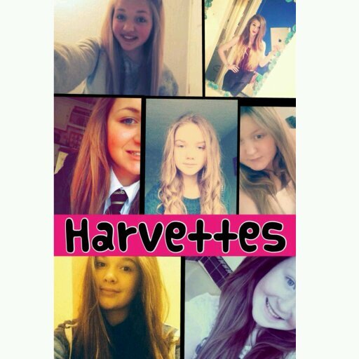we are fans of harvey we are Harvettes