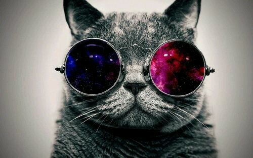 Problem?! It's your problem, not mine!