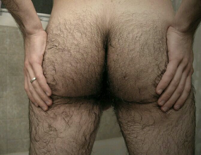 30yo hairy-assed kinky fucker. Secret account. Married with children. kik: hairyazzbi 18+ NSFW #teambi #teamtop #BBBH