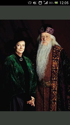 Directora adjunta de Hogwarts. Directora de la casa Gryffindor. Profesora de transformaciones. Animaga registrada. Mi patronus es un gato.