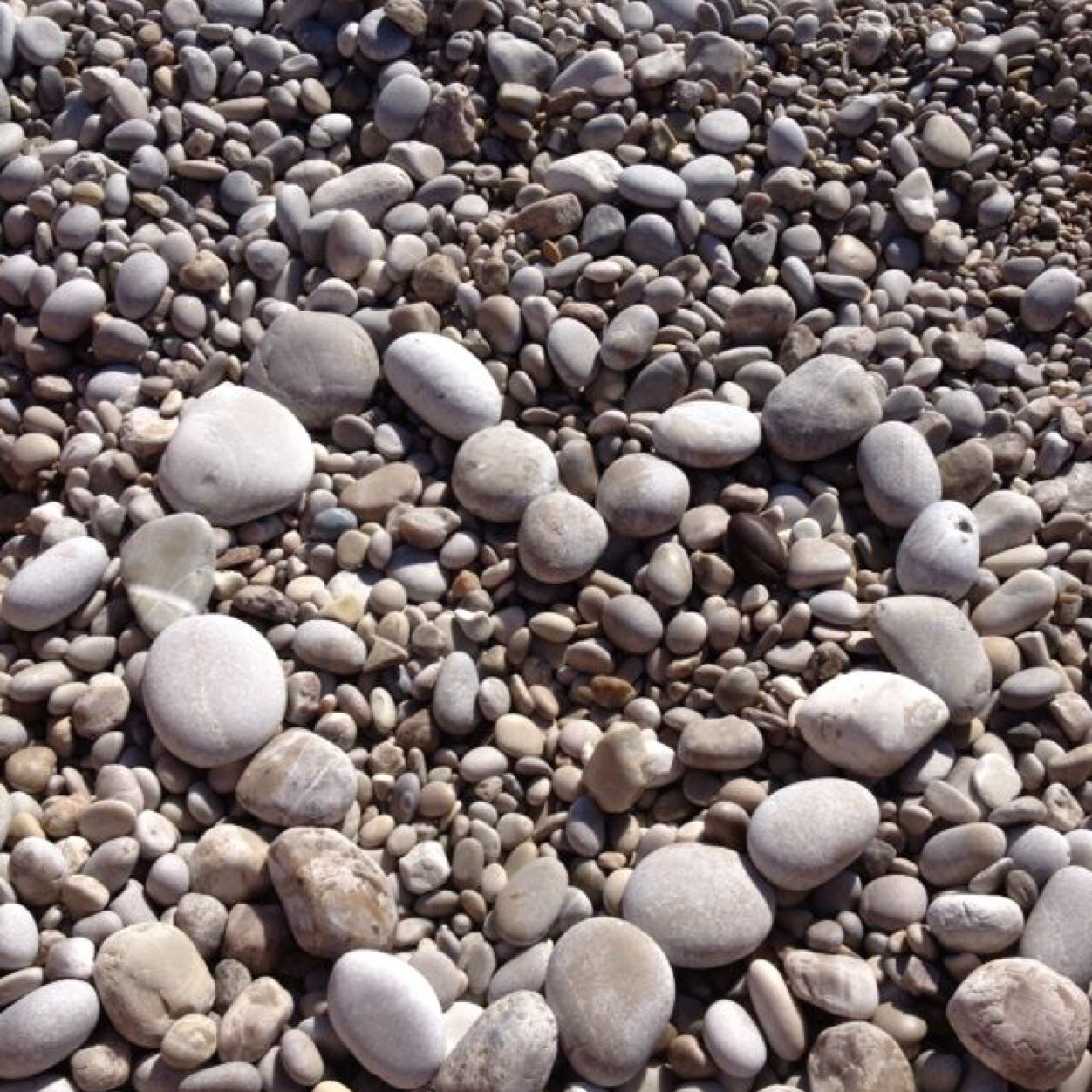 magii123's profile picture. 