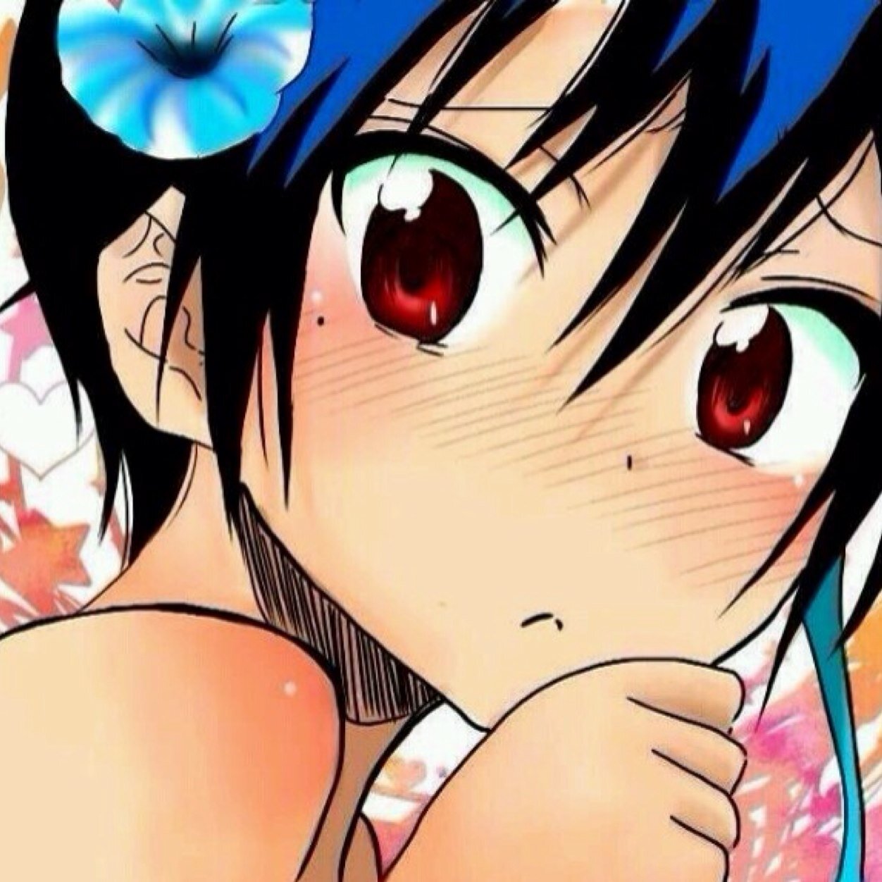 Twitter新しくしました!
ニセコイ大好きです!
1番は鶫です!!
よろしくです。