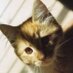 charyyyyyy (@char039) Twitter profile photo