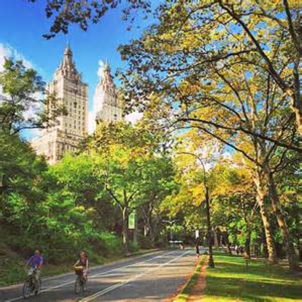 • Sent your most beautiful picture of New York to us and we post it on our Instagram account! • instagram: @NewYorkPics_NYC •