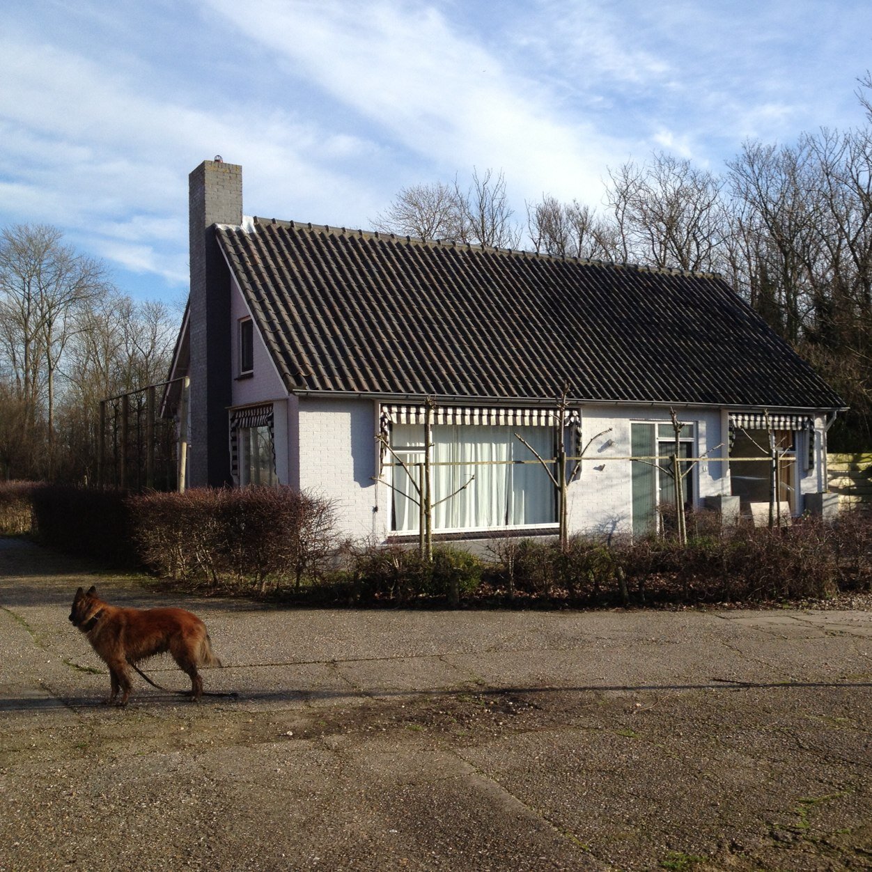 Vakantiehuis 4-6 pers. | platteland | Veerse Meer | vrijheid | vergezichten | stilte | aandacht | thuis weg van huis |