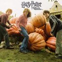 Lena Foster - @moondustlena - Twitter