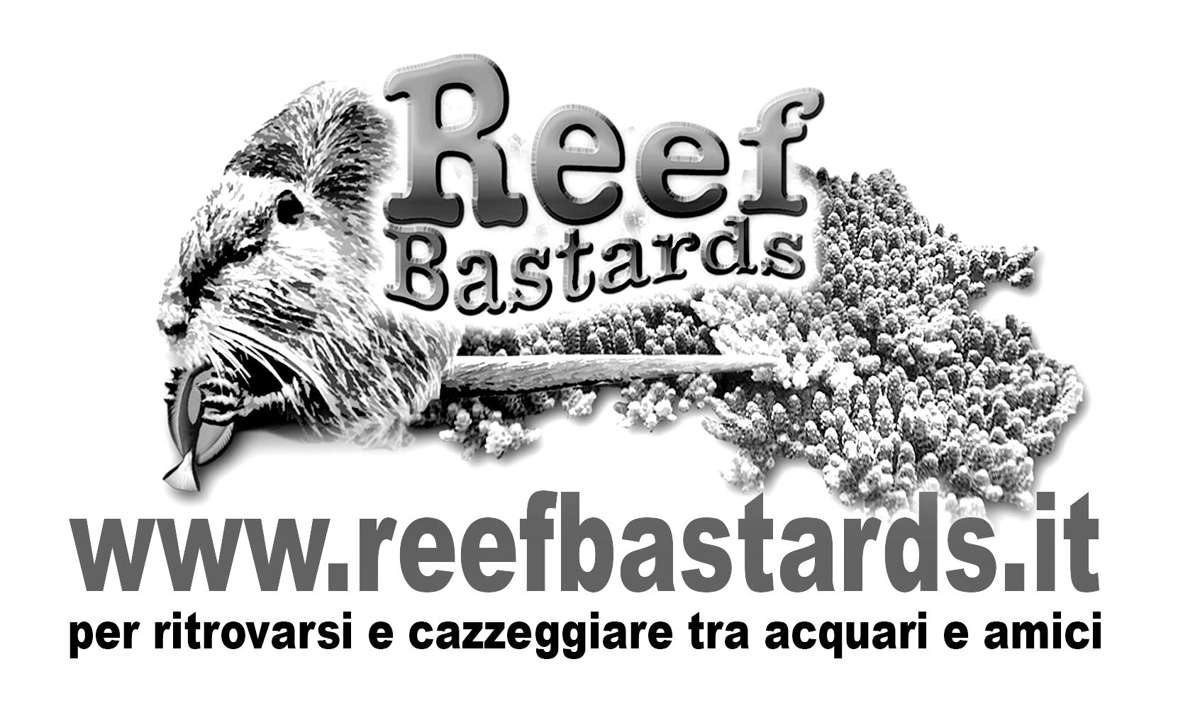 http://t.co/OwKy8V2I3C venite a trovarci!