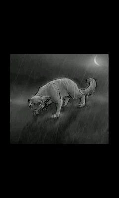 I love my thunderclan cats like my own kits!!